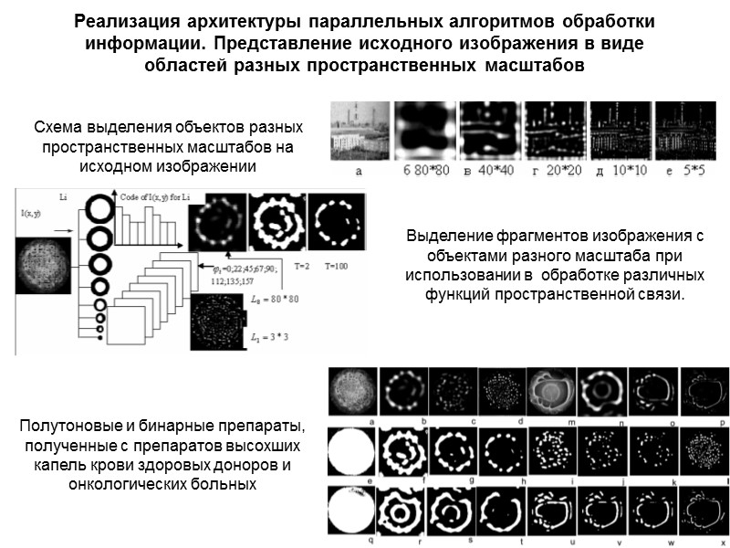 Реализация архитектуры параллельных алгоритмов обработки информации. Представление исходного изображения в виде областей разных пространственных